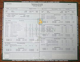 order Rasmussen University transcript