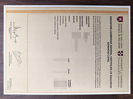 purchase fake University of Cambridge International Examinations Transcript