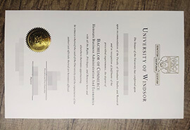 purchase fake University of Windsor degree