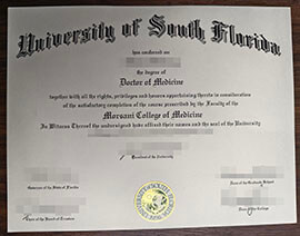 purchase realistic University of South Florida degree