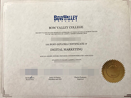 purchase realistic Bow Valley College diploma