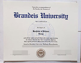 purchase realsitic Brandeis University degree