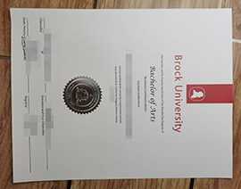 purchase realistic Brock University degree