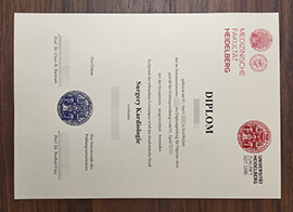 purchase realistic Medizinische Fakultät Heidelberg diploma