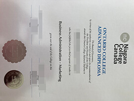 purchase realsitic Niagara College Canada diploma