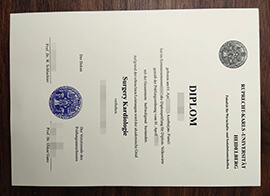purchase realistic Ruprecht-Karls-Universität Heidelberg diploma