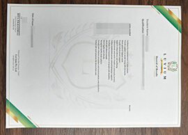 purchase realistic Luvium Certificate Transcript