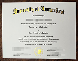 purchase realistic University of Connecticut degree