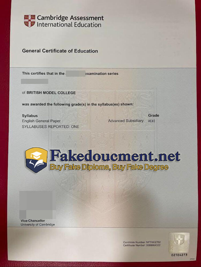 purchase realistic Cambridge Assessment International Education certificate