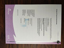 purchase realistic Fontys University degree