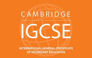 buy fake GCES certificate, buy fake GCES diploma,buy fake UK degree