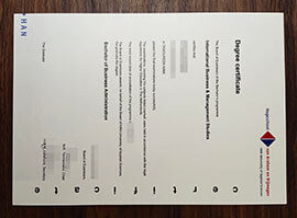 purchase realistic Han University of Applied Sciences degree