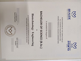 purchase realistic Braude College of Engineering degree