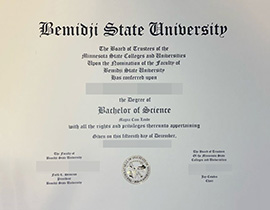 purchase realistic Bemidji State University degree