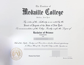 purchase realistic Medaille College degree