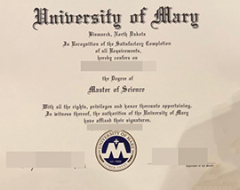 purchase realistic University of Mary degree