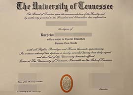 purchase realistic University of Tennessee degree