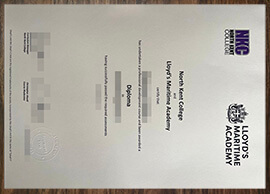 purchase realistic Lloyd's Maritime Academy degree