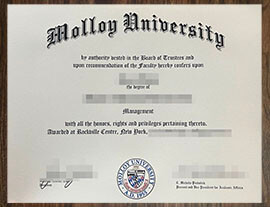 purchase realistic Molloy University degree
