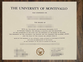 purchase realistic University of Montevallo degree