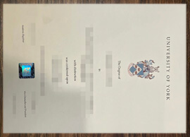 purchase realistic University of York degree