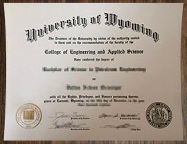 purchase realistic University of Wyoming degree