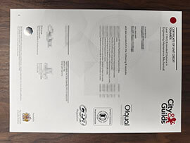 purchase realistic City & Guilds Level 3 NVQ Extended Diploma certificte