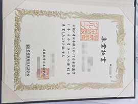 purchase realistic Meko Education Japanese Language School certificate