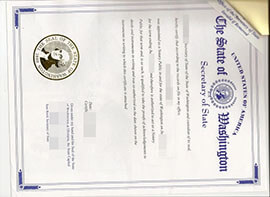 purchase realistic Washington State Authentication certificate