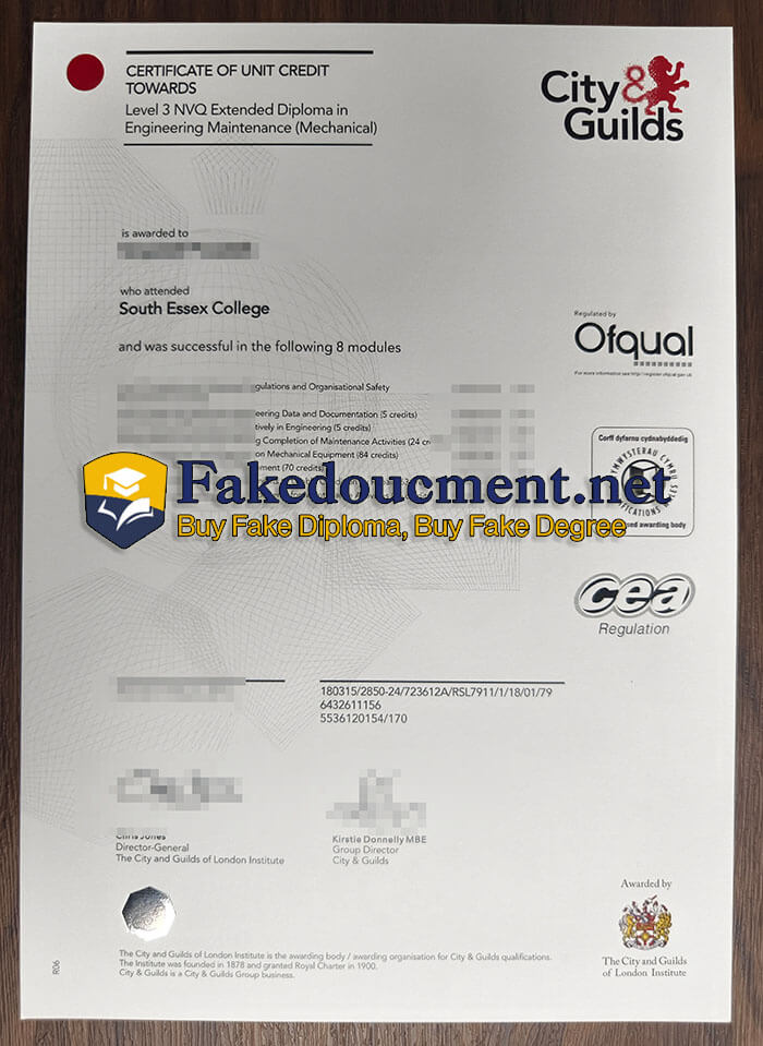 purchase realistic City & Guilds Level 3 NVQ Extended diploma