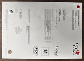 purchase realistic City & Guilds Level 3 NVQ Extended diploma