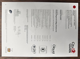 purchase realistic City & Guilds Level 3 NVQ diploma
