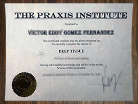 purchase realistic Praxis Institute certificate