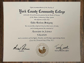 purchase realistic York County Community College certificate