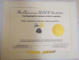 purchase realistic American TESOL Institute certificate