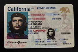 purchase realistic California Driver License