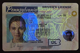 purchase realistic Pennsylvania Driver's License