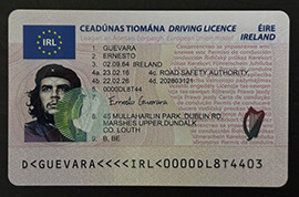 purchase realistic IRL Driving Licence