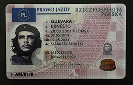 purchase realistic Rzeczpospolita Polska Prawo Jazdy