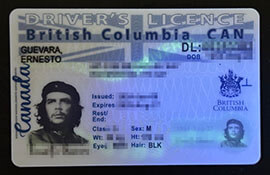 purchase realistic British Columbia Drivers Licence