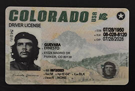 purchase realistic Colorado Driver License