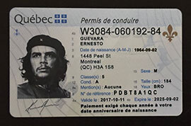 purchase realistic Quebec Permis de Conduire