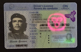 purchase realistic Ontario Driver's Licence