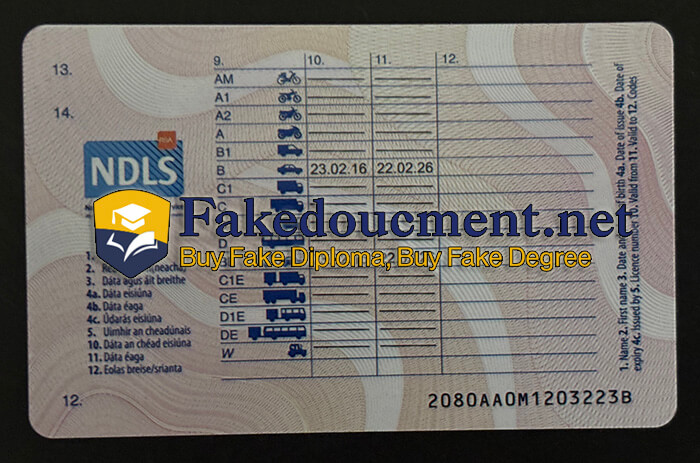 purchase realistic IRL Driving Licence