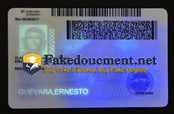 purchase realistic Iowa Driver License
