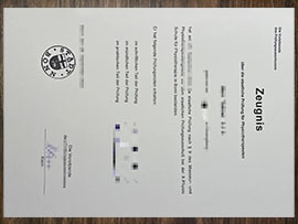 purchase realistic Physiotherapeut Zeugnis
