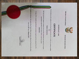purchase realistic Republic of South Africa Patents certificate
