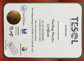 purchase realistic TESOL A2 Certificate