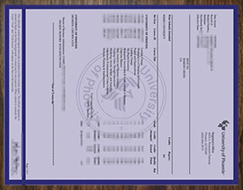 purchase realistic University of Phoenix Transcript