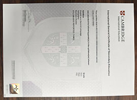 purchase realistic Cambridge IGCSE